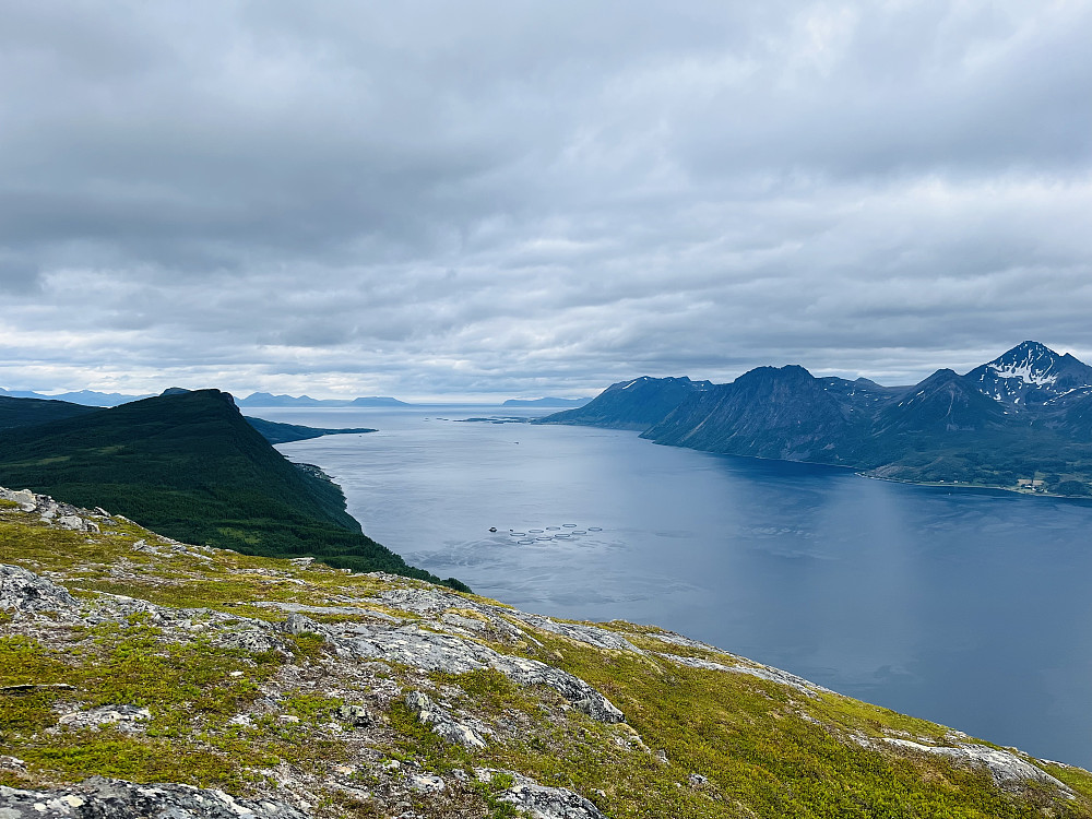 Toppsundet skiller Grytøya fra resten av Hinnøya