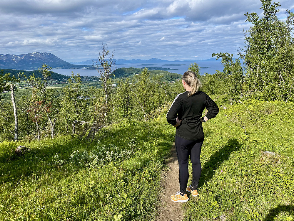 Utsikt mot Harstad fra Svartdalsåsen