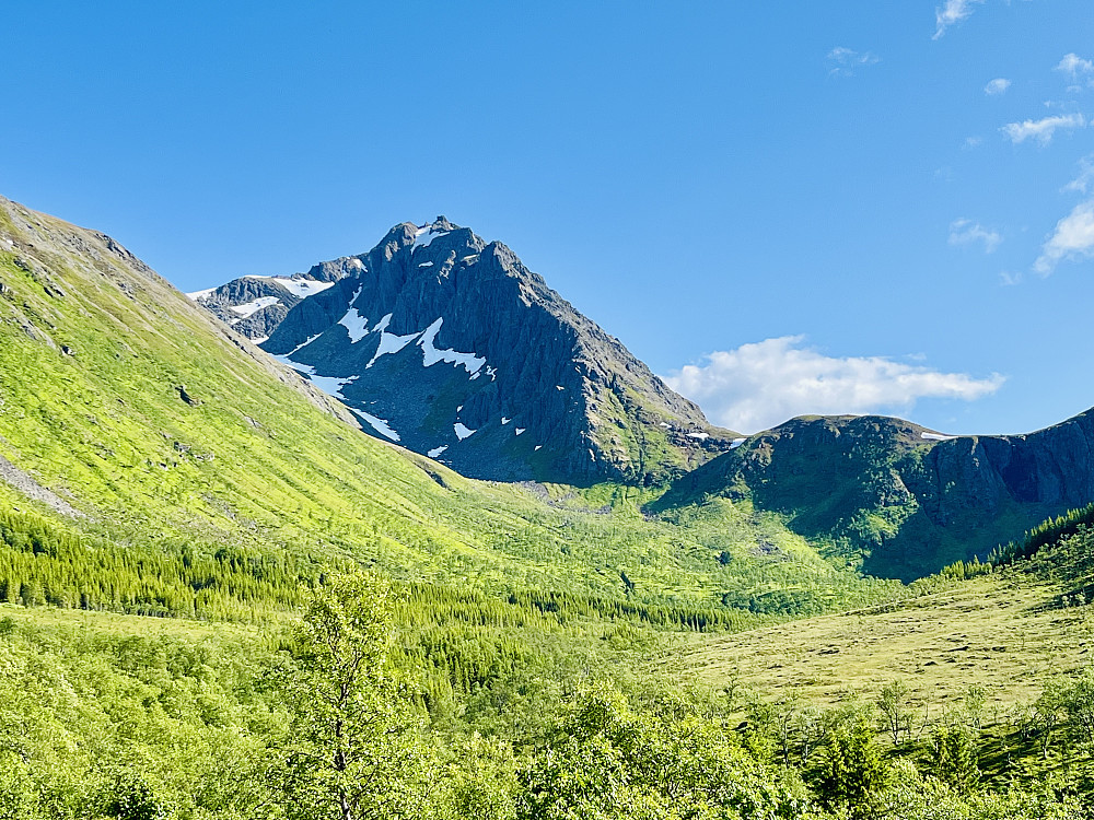 Skjelltindan