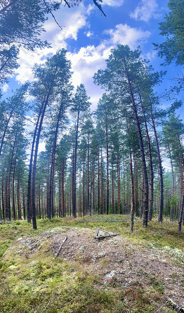 Et beskjedent topp-punkt