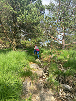 Lizzi_20210711_60eb375cddec2.jpg