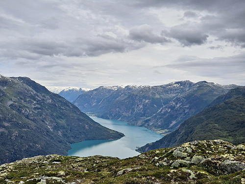 Frå Langanesnovi 
