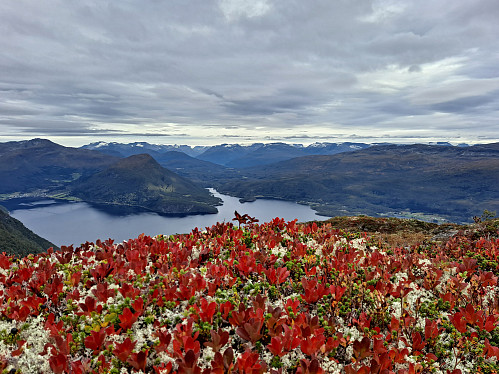 Frå Navelsakerfjellet