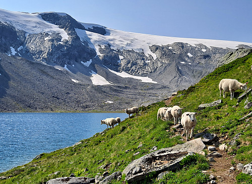 Grasdalsvatnet