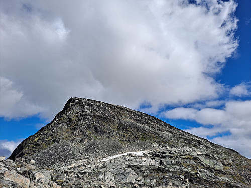 Storbarden