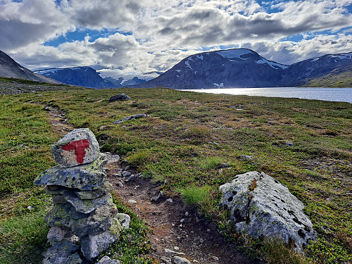 Herleg med T-merka sti etter nokre timar i ur.