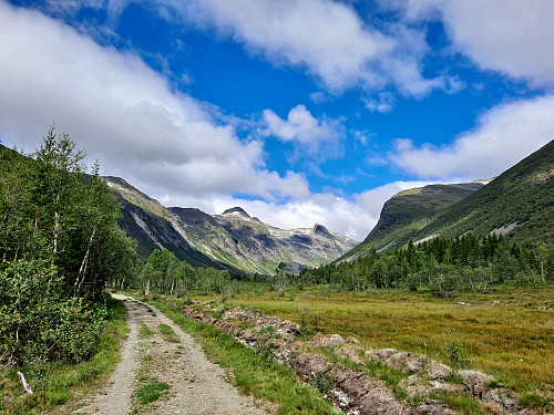Skogsveg innover Kjellstaddalen