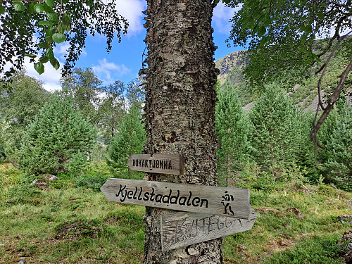 Vidare på sti herifrå.
