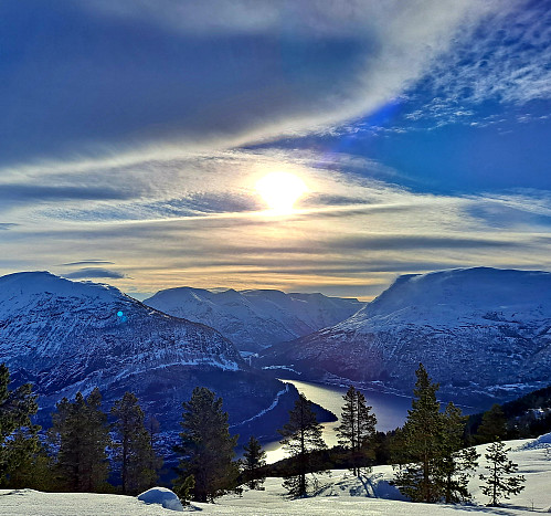 Frå Hogden 