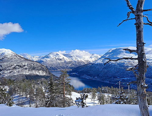 Frå Veten 
