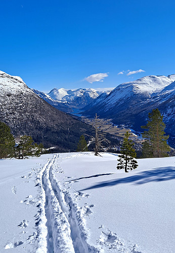 Frå Hogden