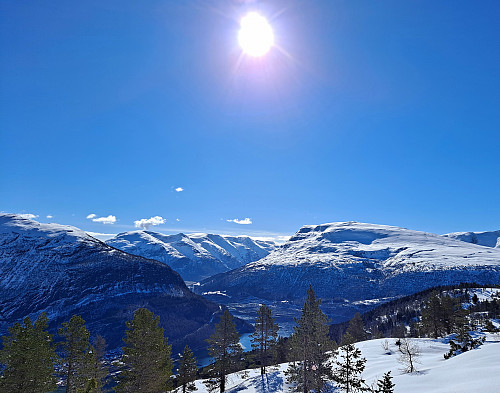 Frå Hogden 