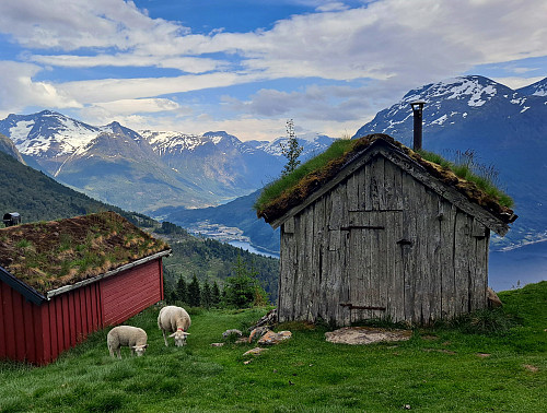 Raksætra