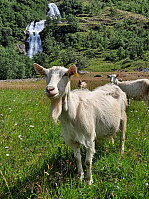 Soli_20220712_62cd9ddb63dc1.jpg