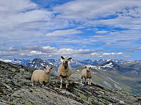 Soli_20220804_62ec00a15b3a5.jpg