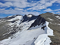 Soli_20220804_62ec00a4813d7.jpg
