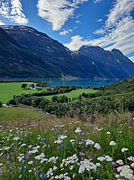 Soli_20221226_63a9a101c3f85.jpg