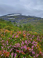 Soli_20221226_63a9adad5ef2c.jpg