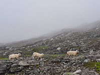 Soli_20221226_63a9ae1ba8b07.jpg