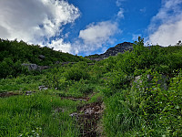 Soli_20221226_63a9b243cb192.jpg