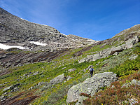 Soli_20221227_63aaf2c3aefa7.jpg