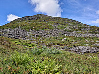 Soli_20221227_63aafa8ca35eb.jpg