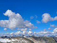 Soli_20221227_63ab30df6825e.jpg