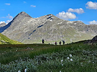 Soli_20221227_63ab3147cbdca.jpg
