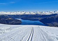 Soli_20230402_6429aa78b970f.jpg