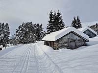 Soli_20230416_643c2e38f34b1.jpg