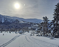 Soli_20230416_643c2e3a08967.jpg