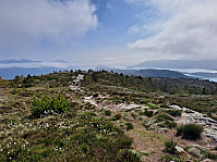 Soli_20230616_648cb278dbf45.jpg