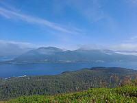 Soli_20230616_648cb27ac6a43.jpg