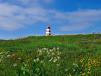 Soli_20230616_648cb64711645.jpg