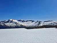 Soli_20230629_649dbe05c8f10.jpg