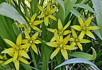 Soli_20230629_649dc5168b6bb.jpg