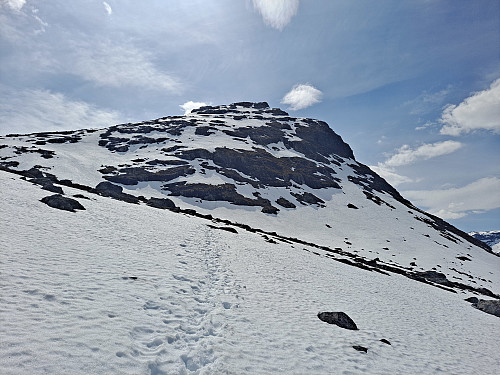 Vesleskåla