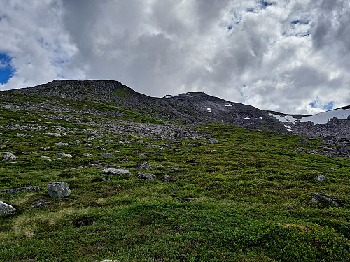 Oppover mot Litledalsnibba