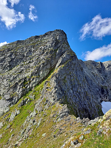 Skjerdingane
