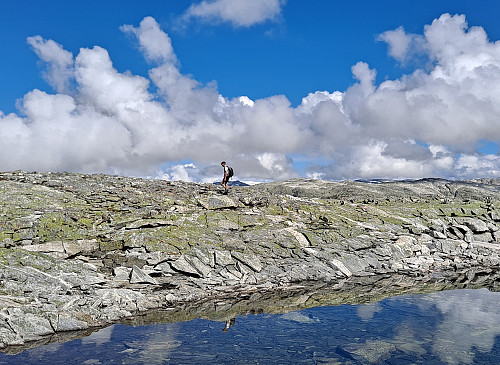 Lett terreng frå Holmevatnet til Biskehyrna
