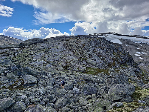 Vidare mot Kvitekoven