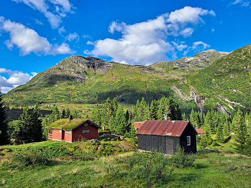 Vakkert på Flofjellet!