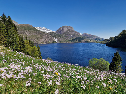 Flott utsikt mot vakre Laukelandsfossen frå Ottersteinen parkering 
