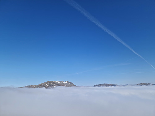 Kom over skodda like før Dokka. Heilt nydeleg!