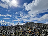 Soli_20240609_66659a3163c1e.jpg