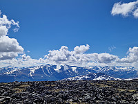 Soli_20240609_66659a32dd43c.jpg