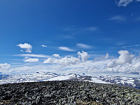 Soli_20240609_66659a3469cf0.jpg