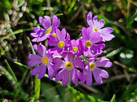Soli_20240609_66659c9bb94f9.jpg