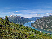 Soli_20240609_66659ca18bcc1.jpg
