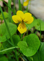 Soli_20240609_66659ca3d7e0f.jpg